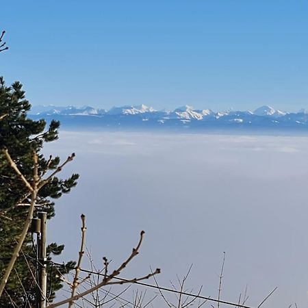 Вилла Mont Blanc Chalet Grandevent Экстерьер фото