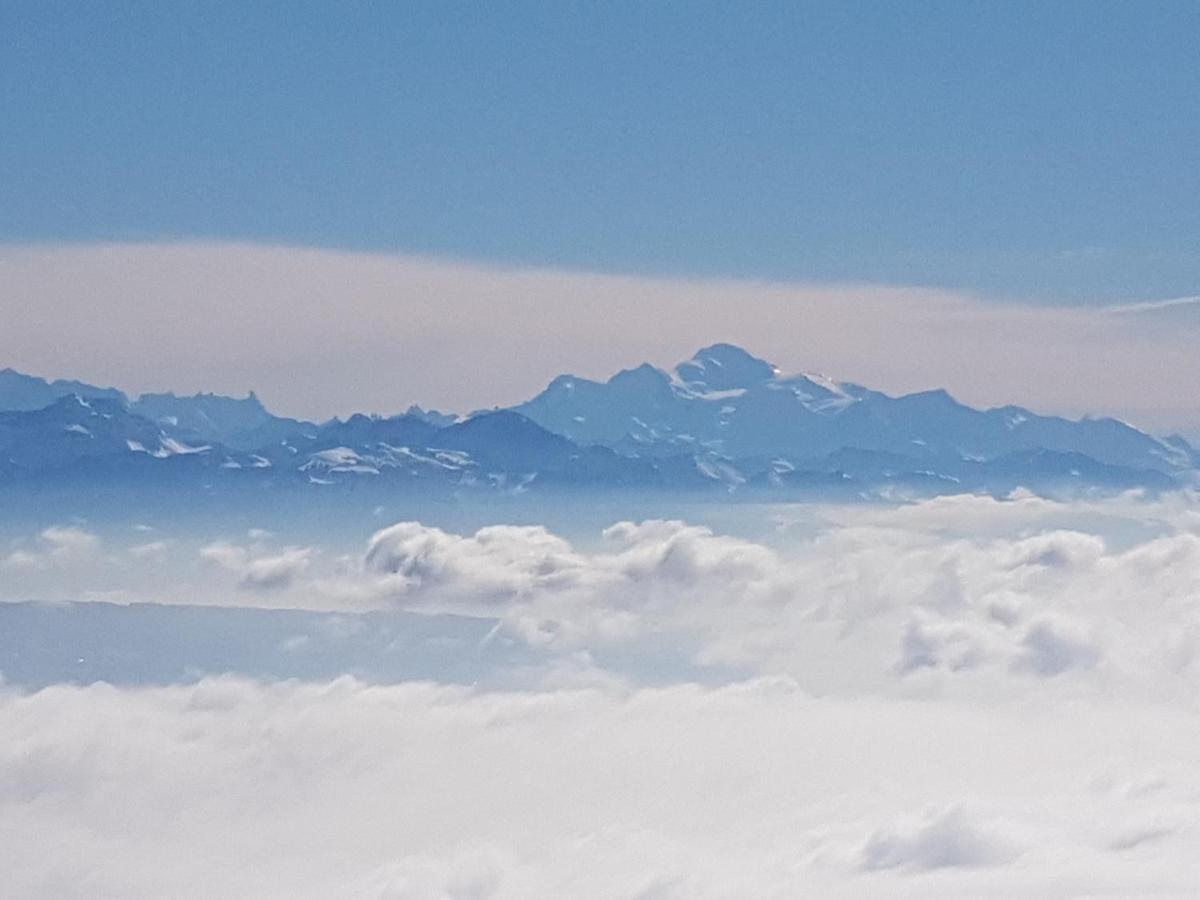 Вилла Mont Blanc Chalet Grandevent Экстерьер фото