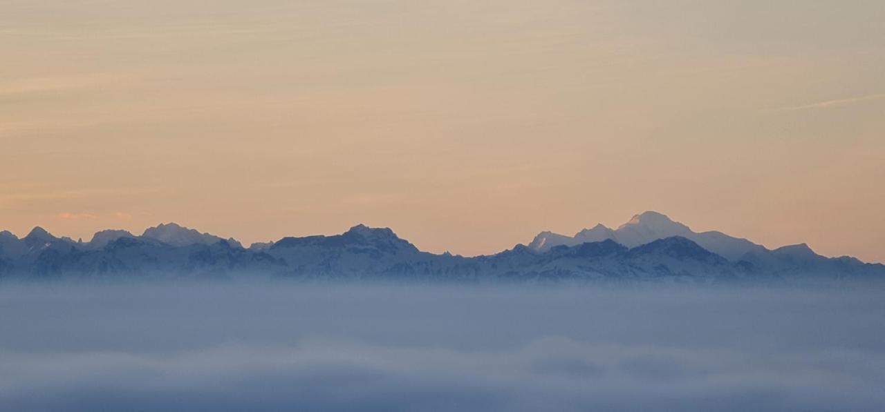 Вилла Mont Blanc Chalet Grandevent Экстерьер фото