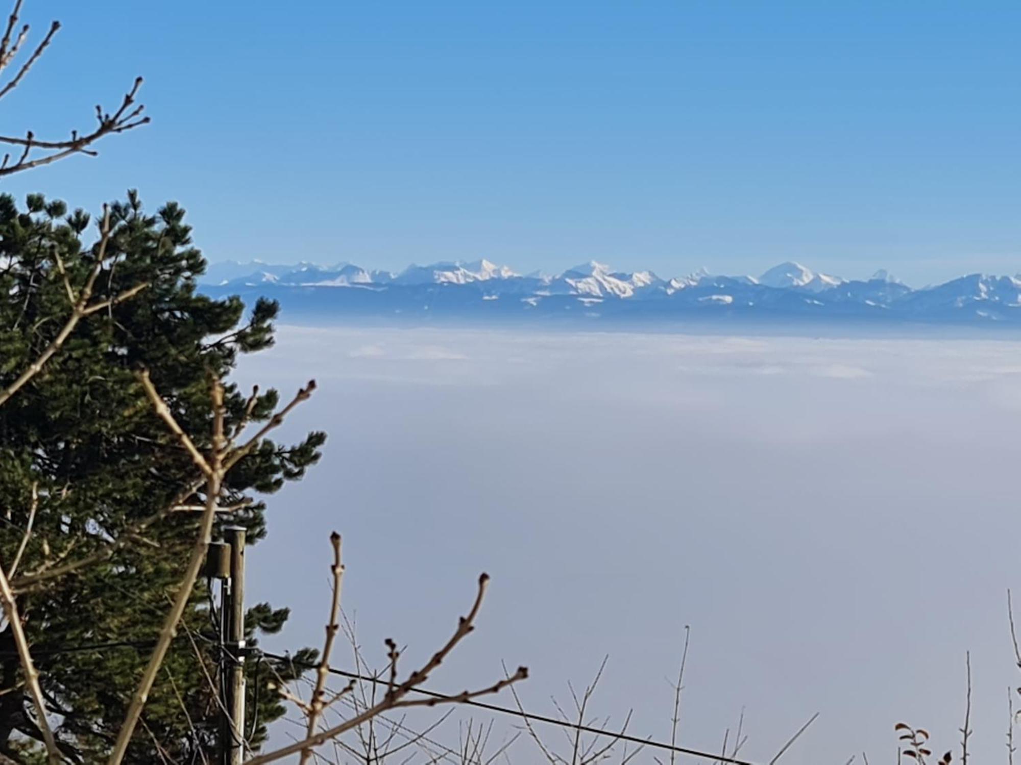 Вилла Mont Blanc Chalet Grandevent Экстерьер фото